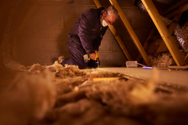Best Insulation Maintenance and Repair in Castleton On Hudson, NY